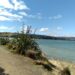 Return to New Zealand (Aotearoa), 2025, 2nd posting added